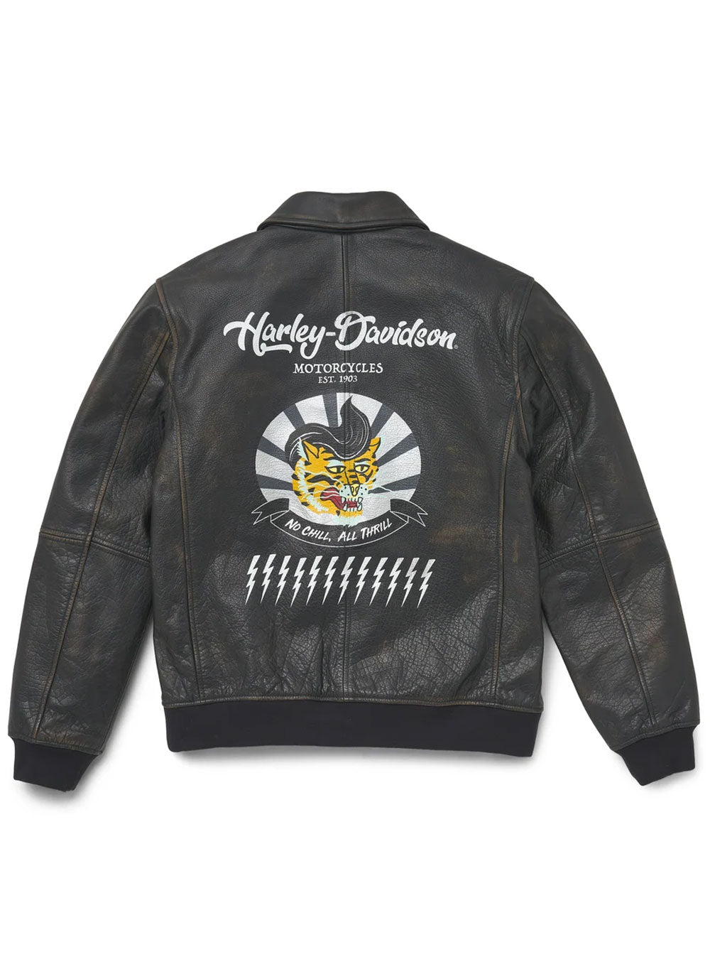 Men's Archer Bomber Leather Jacket